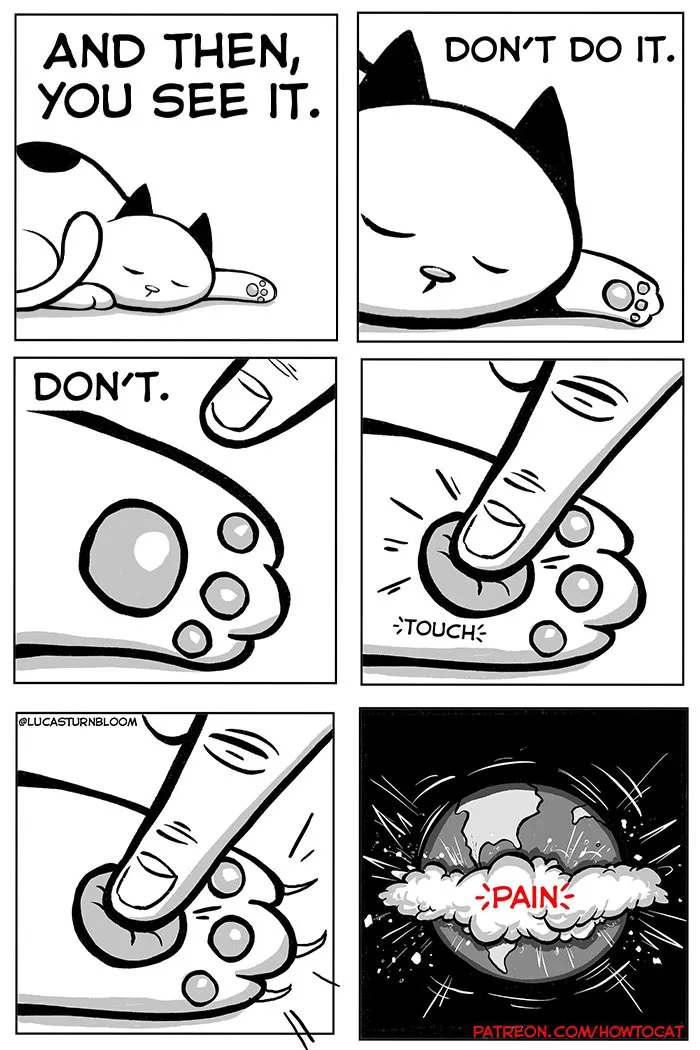 30 Funny Comics About The Reality Of Living With A Cat (New Pics)