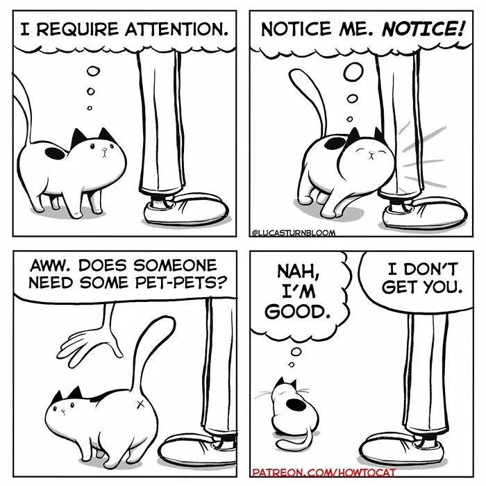 30 Funny Comics About The Reality Of Living With A Cat (New Pics)