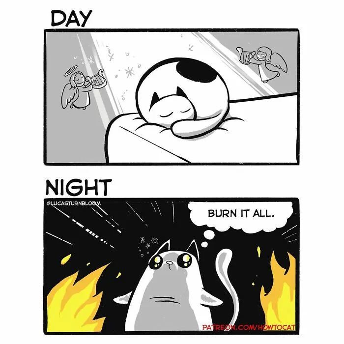 30 Funny Comics About The Reality Of Living With A Cat (New Pics)