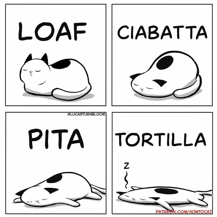21 Funny Comics About The Reality Of Living With A Cat