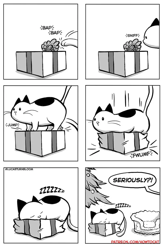 21 Funny Comics About The Reality Of Living With A Cat