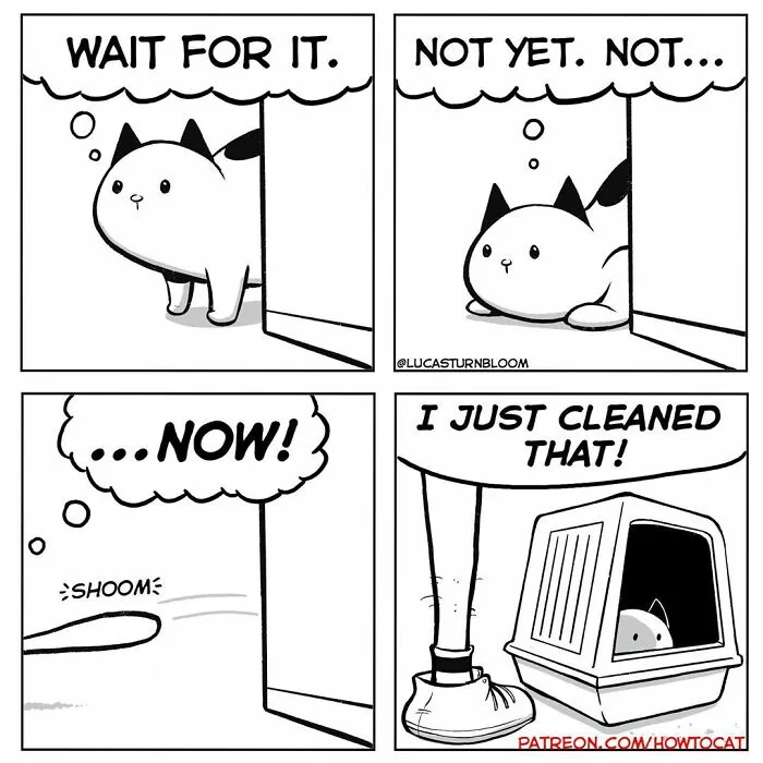 30 Funny Comics About The Reality Of Living With A Cat (New Pics)