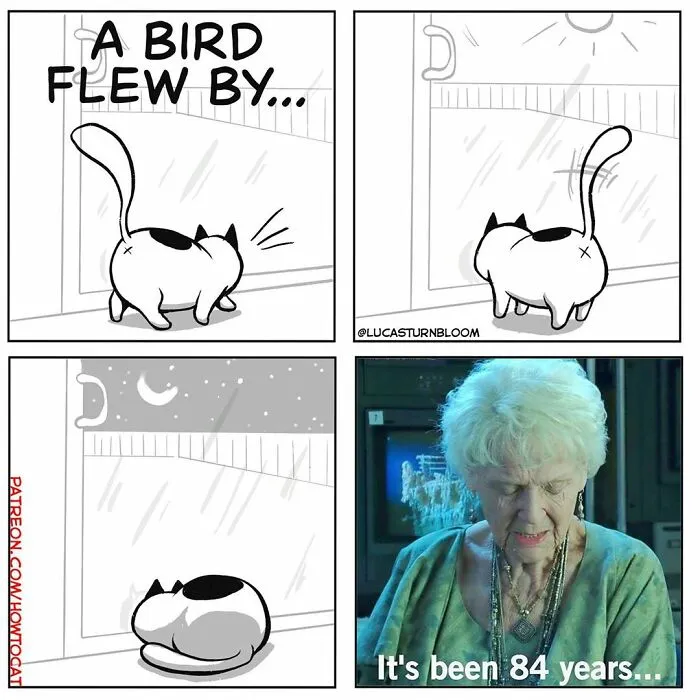 21 Funny Comics About The Reality Of Living With A Cat