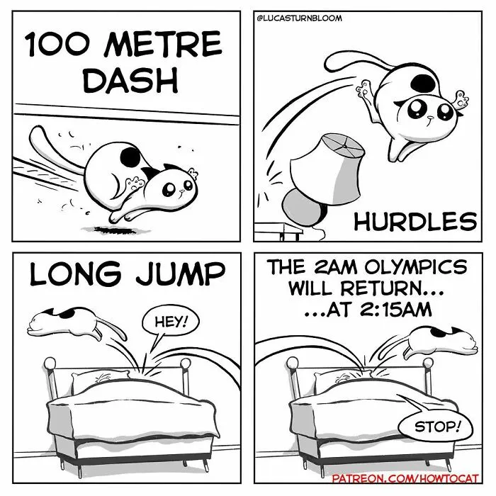 21 Funny Comics About The Reality Of Living With A Cat