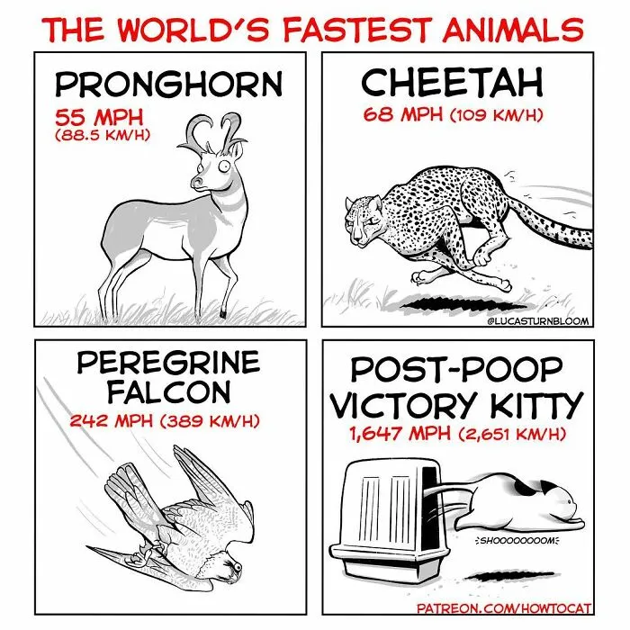 30 Funny Comics About The Reality Of Living With A Cat (New Pics)