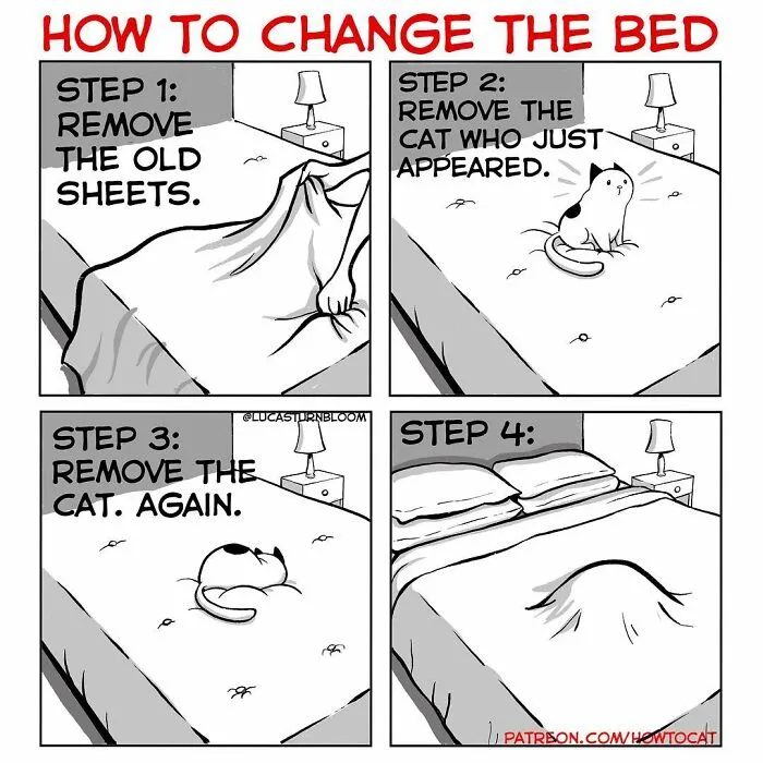 30 Funny Comics About The Reality Of Living With A Cat (New Pics)