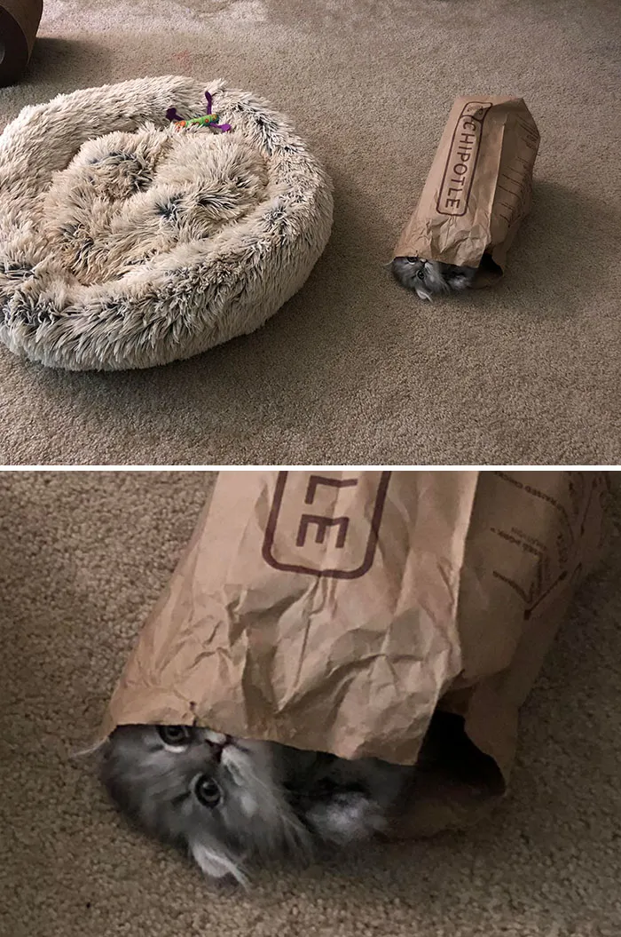 Compradle una cama, decían