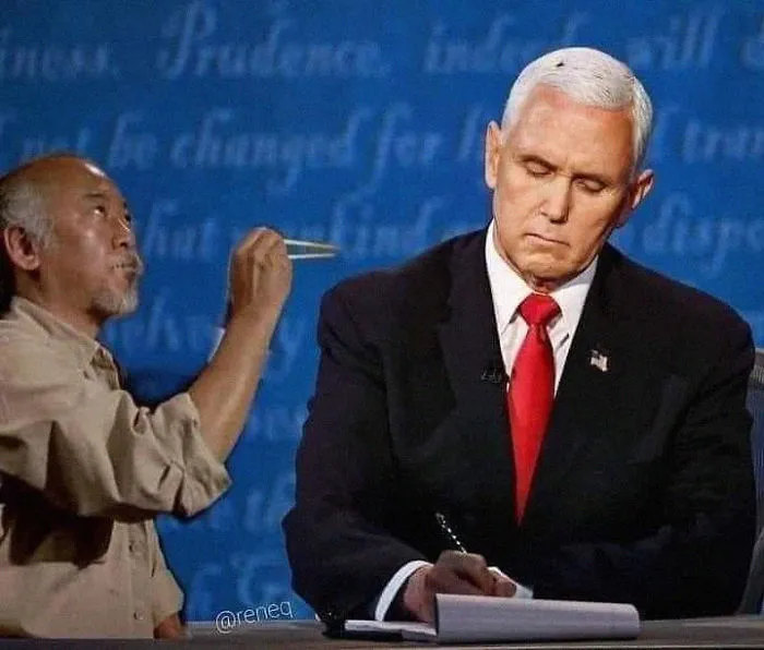 47 Memes That Wouldn't Exist If The Fly Didn't Land On Mike Pence's Head Last Night