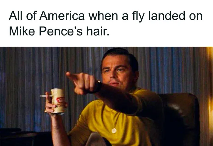 47 Memes That Wouldn't Exist If The Fly Didn't Land On Mike Pence's Head Last Night
