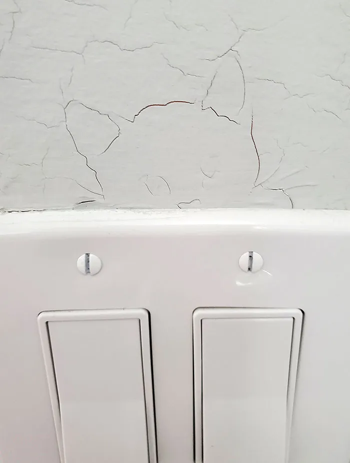 Cat Formed By Cracks Above My Light Switch