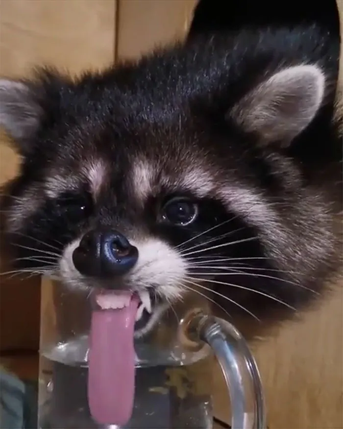 Trying To Hydrate, Nothing To See Here