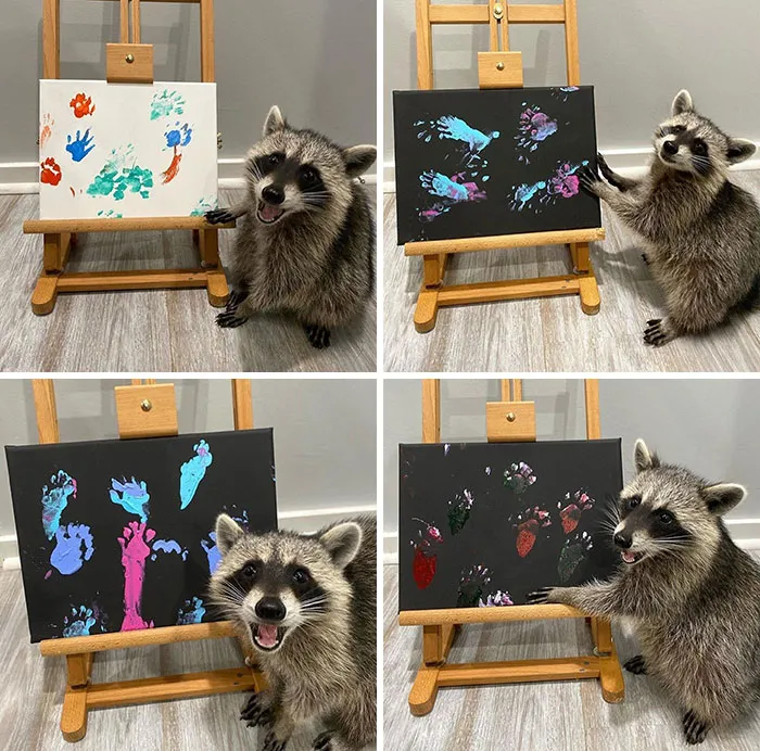 Little Trash Panda's First Steps Into Fine Arts