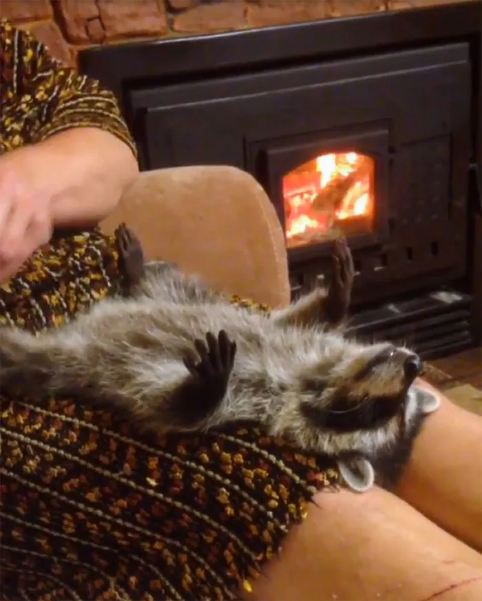 Pure, Cozy Bliss