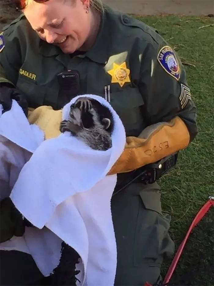 He Was So Ashamed Of Needing Human Help