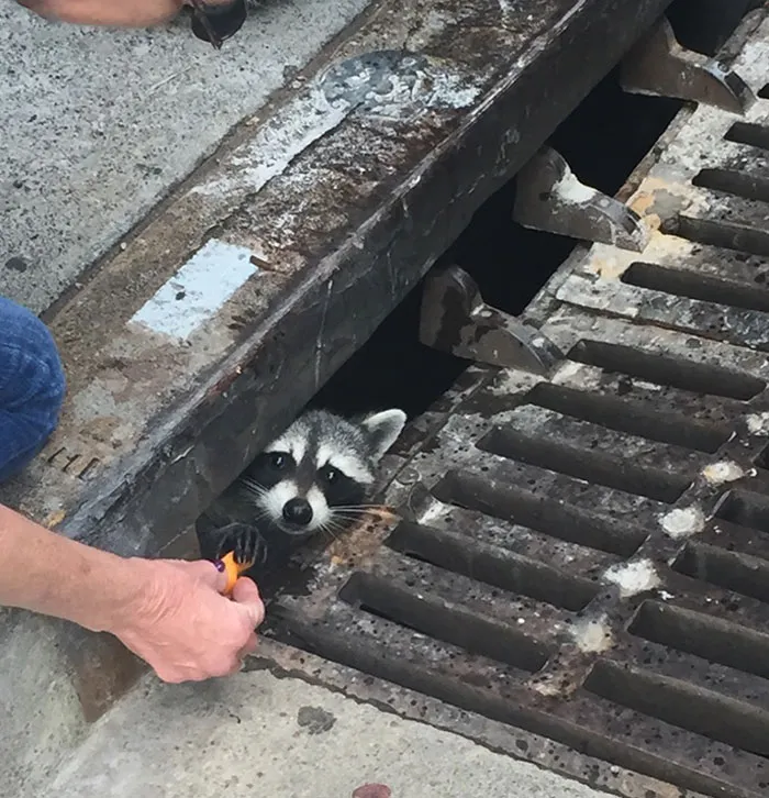 Sharing Cheetos With The Underground