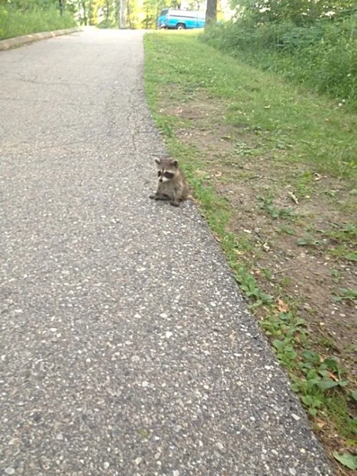 When You Realize You Don't Want To Be Responsible For Anything Anymore And You Just Want To Nap And Be Small