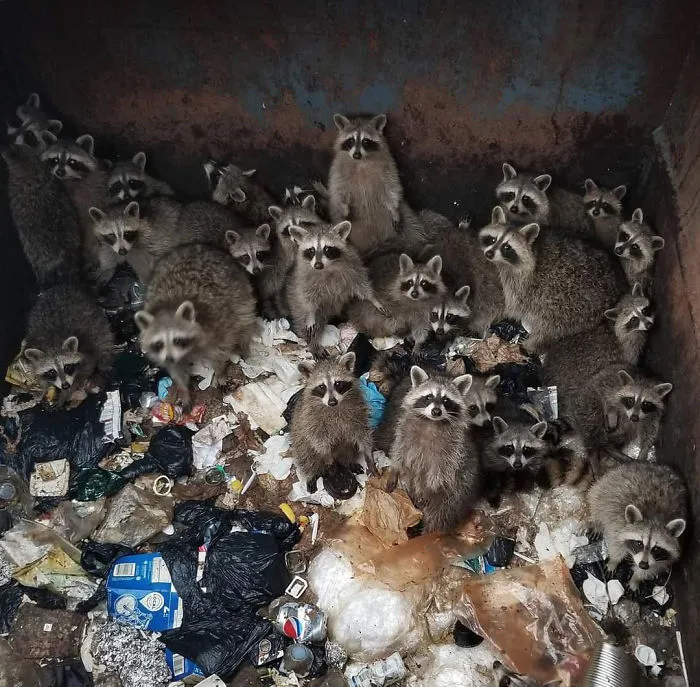 A Rare Shot Of Guardians Of The Galaxy 3 Casting Call
