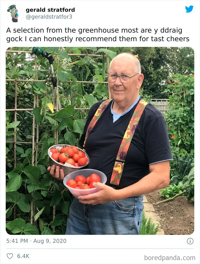 71-Year-Old Veggie King Posts Gardening Pics, Becomes An Internet Sensation (30 Pics)