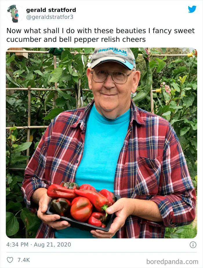 71-Year-Old Veggie King Posts Gardening Pics, Becomes An Internet Sensation (30 Pics)