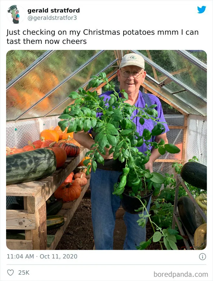 71-Year-Old Veggie King Posts Gardening Pics, Becomes An Internet Sensation (30 Pics)