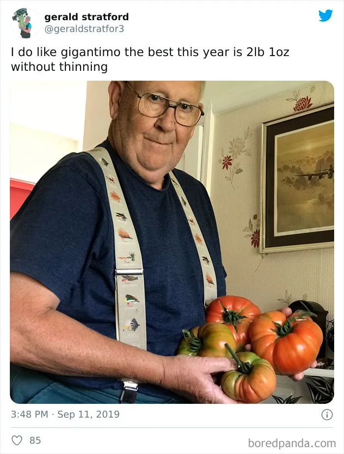 71-Year-Old Veggie King Posts Gardening Pics, Becomes An Internet Sensation (30 Pics)