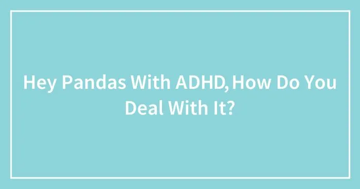 Hey Pandas With ADHD, How Do You Deal With It?