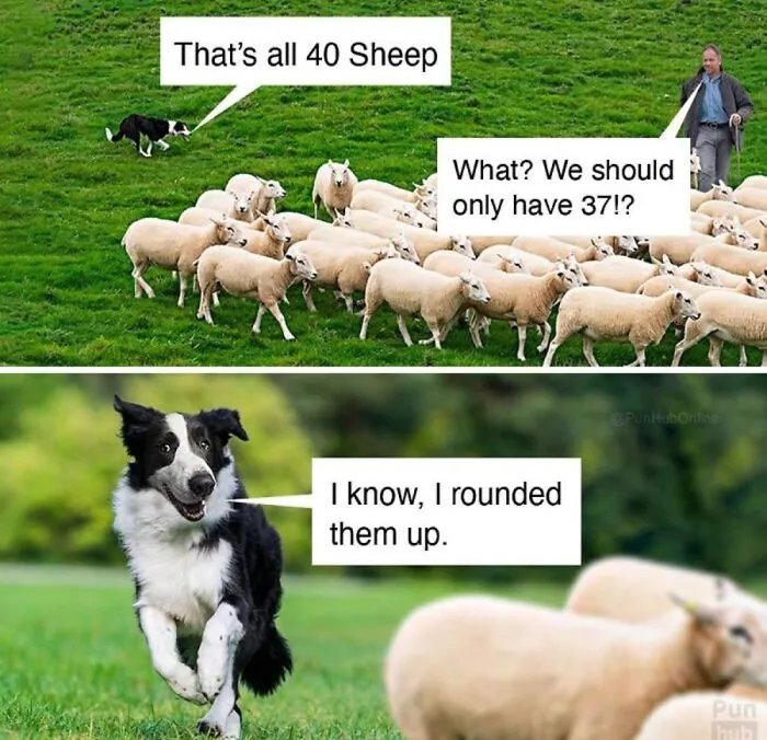 Rounding Up