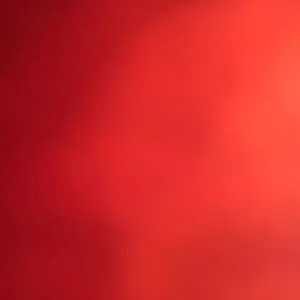Noop Dawg