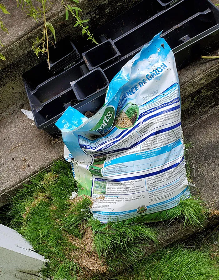 What Happens If You Leave A Bag Of Grass Seed Out