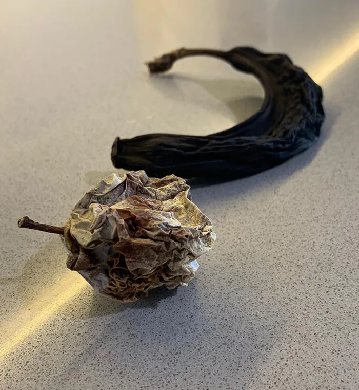 What Happens If You Leave An Apple And A Banana For 6 Months In An Office Locker Because Of Quarantine