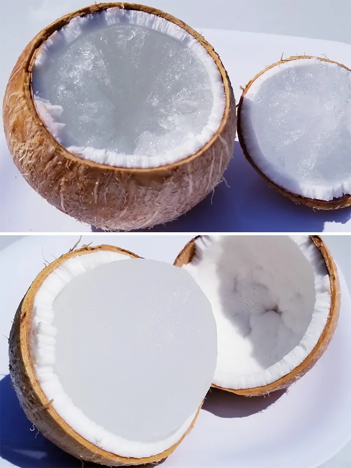 Si congelas un coco