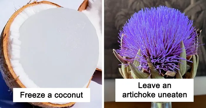 50 People Are Sharing “What Happens If…” So You Don't Have To Keep Wondering