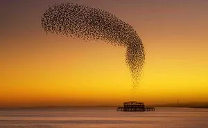 Feast Your Eyes On The 30 Incredible Winning Shots For The 2020 UK Landscape Photographer Of The Year Contest