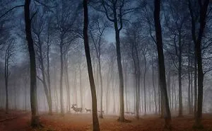 Feast Your Eyes On The 30 Incredible Winning Shots For The 2020 UK Landscape Photographer Of The Year Contest