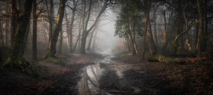 Classic View Winner: Leigh Dorey, ' Roman Road', Dorset