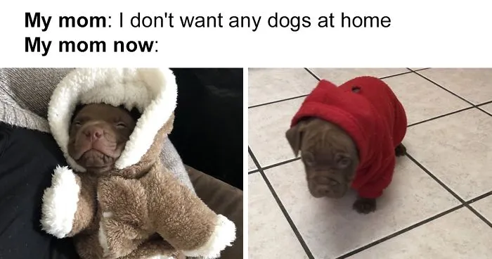30 Latina Moms Who Totally Didn't Want A Dog