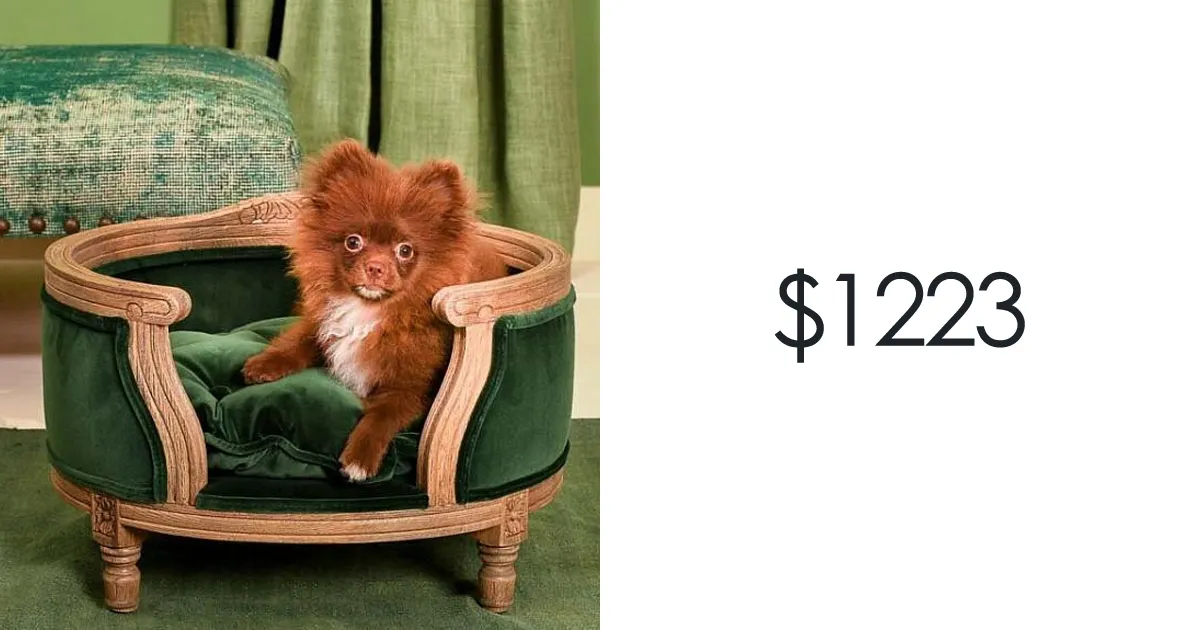 20 Luxury Furniture For Cats And Dogs That Costs More Than You Would Spend On Your Own Bed