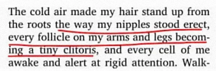 Let's Not Forget This Gem Either