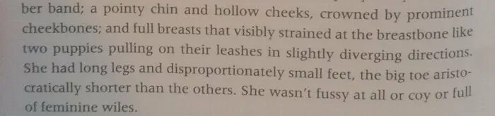 I'm Sorry, Her Breasts Do What