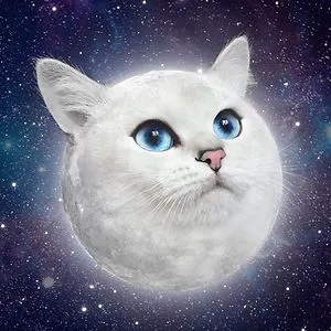 KittenQueen