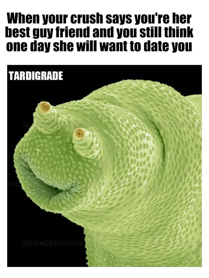 9 Micro-Memes To Make You Micro-Laugh