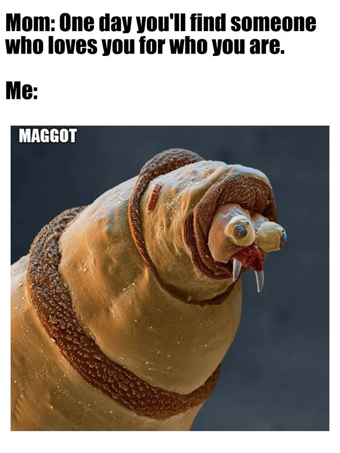 9 Micro-Memes To Make You Micro-Laugh