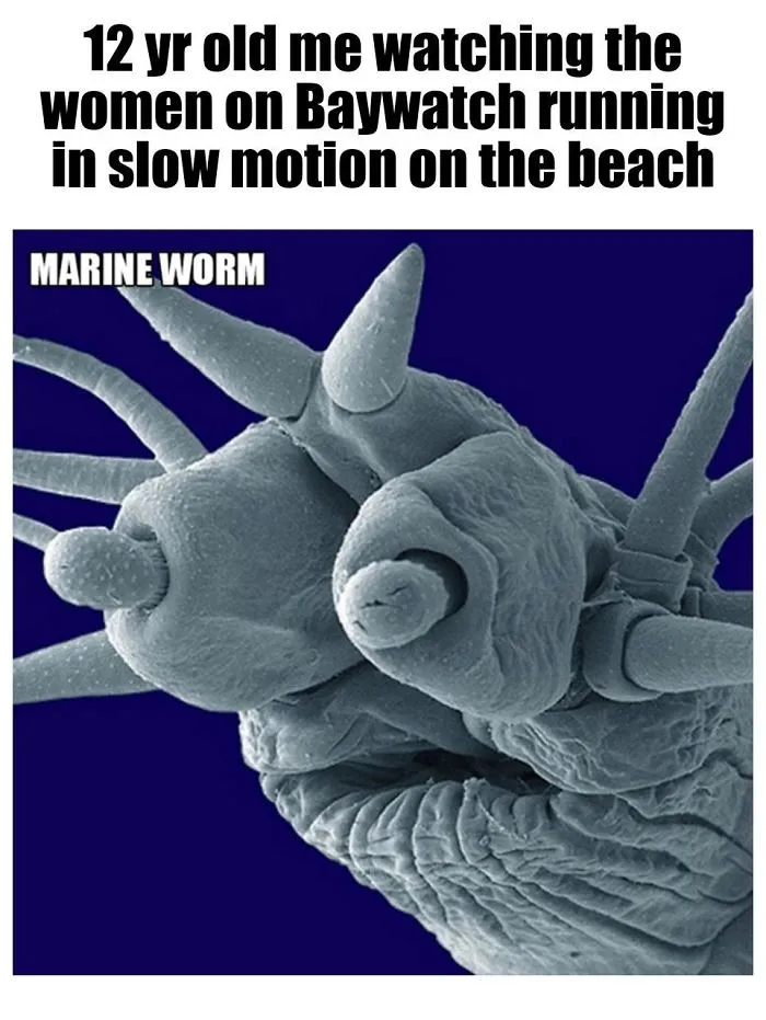 9 Micro-Memes To Make You Micro-Laugh