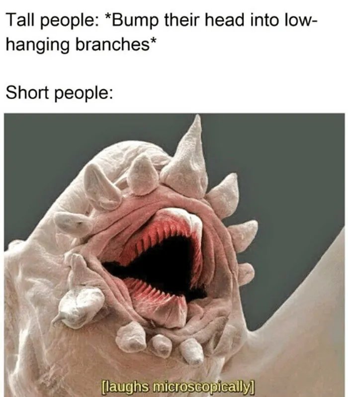 9 Micro-Memes To Make You Micro-Laugh
