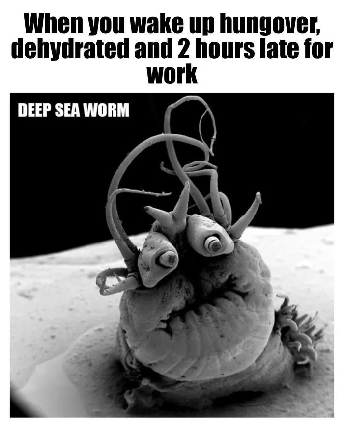 9 Micro-Memes To Make You Micro-Laugh