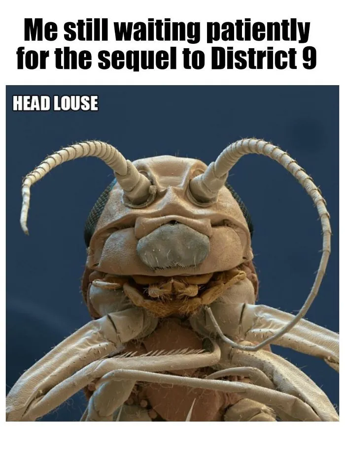 9 Micro-Memes To Make You Micro-Laugh