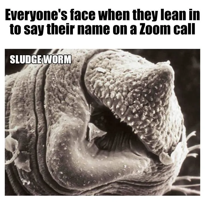 9 Micro-Memes To Make You Micro-Laugh