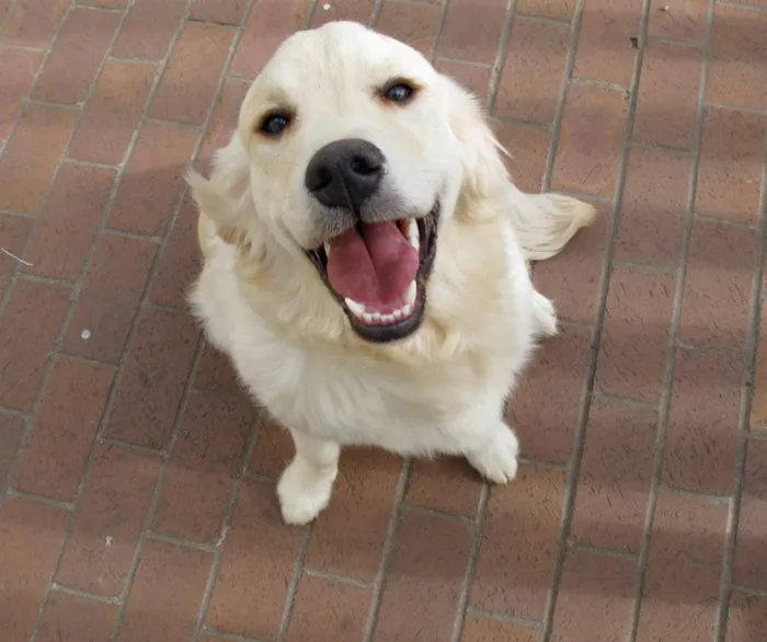 50 People Are Sharing The Most Wholesome Things They Have Seen