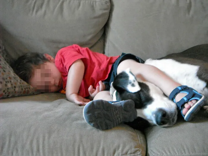 50 People Are Sharing The Most Wholesome Things They Have Seen