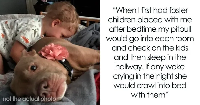 50 People Are Sharing The Most Wholesome Things They Have Seen
